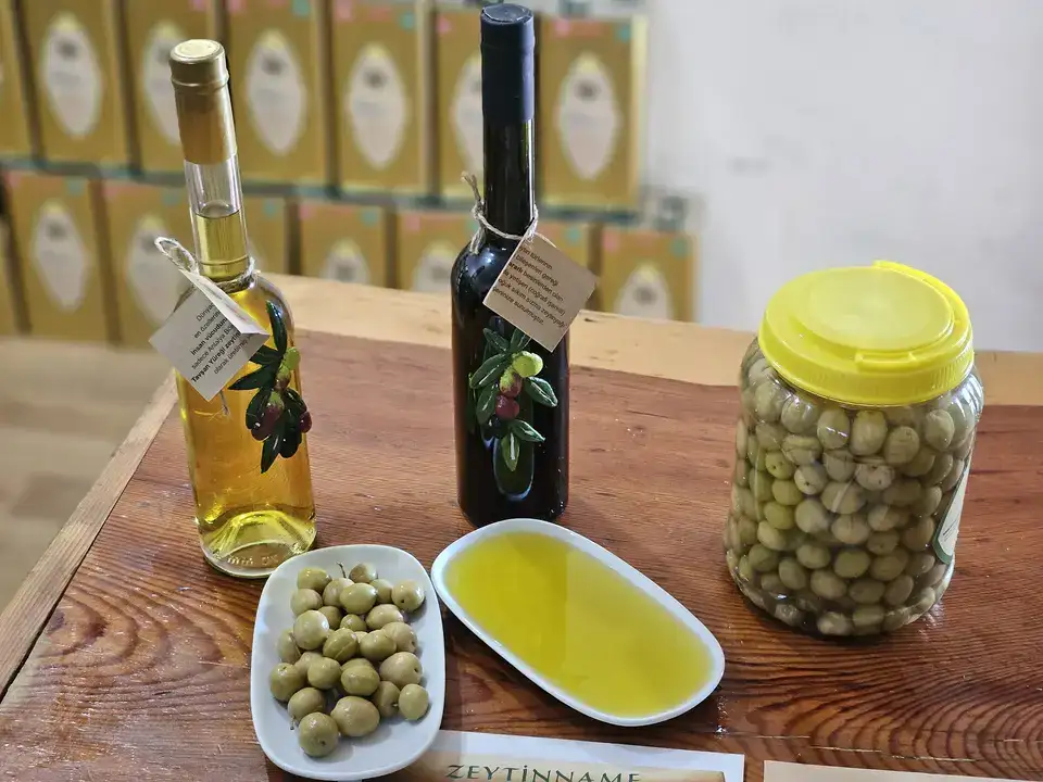 Tavşan Yüreği Zeytinyağı Kemoterapi Kadar Etkili Çıktı 1